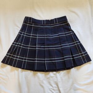 Aritzia Sunday Best Skirt